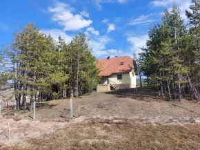 Vikendica Jevtovic - Vodice